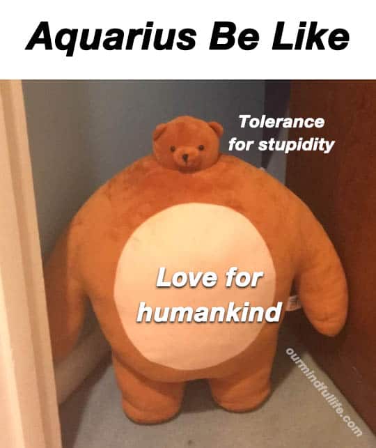 Funny Aquarius Memes That Are Basically Aquarian Facts - OurMindfulLife.com / memes about Aquarius facts, Aquarius personality traits and problems