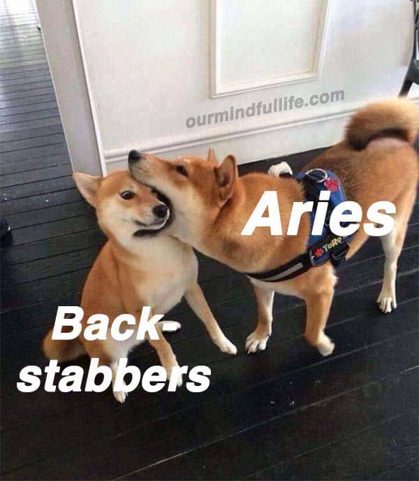 Funny Aries memes that speak volume - OurMindfulLife.com / astrology memes about Aries facts, Aries personality traits and Aries problems