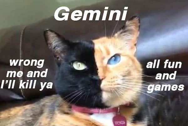 Funny-Gemini-memes-that-totally-get-it-OurMindfulLife.com_