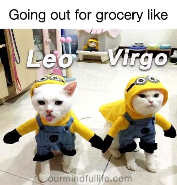 27 Relatable Leo Memes That Will Make You Feel Attacked