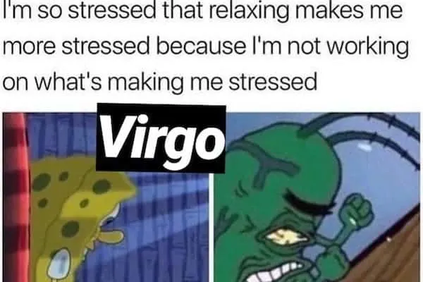 Virgo-memes-that-are-accurate-enough-to-make-you-cry-OurMindfulLife.com_