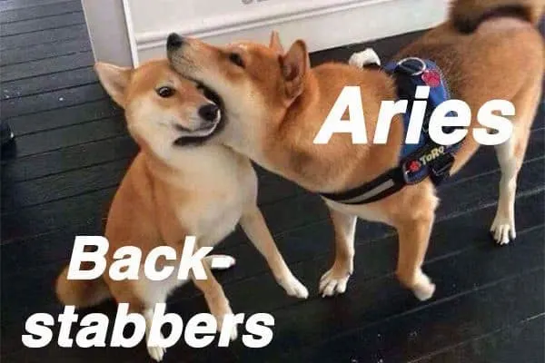funny-Aries-astrology-memes-ourmindfullife.com_