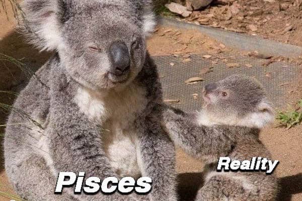 27 Funny Pisces Memes Too Real That It Hurts - Our Mindful Life