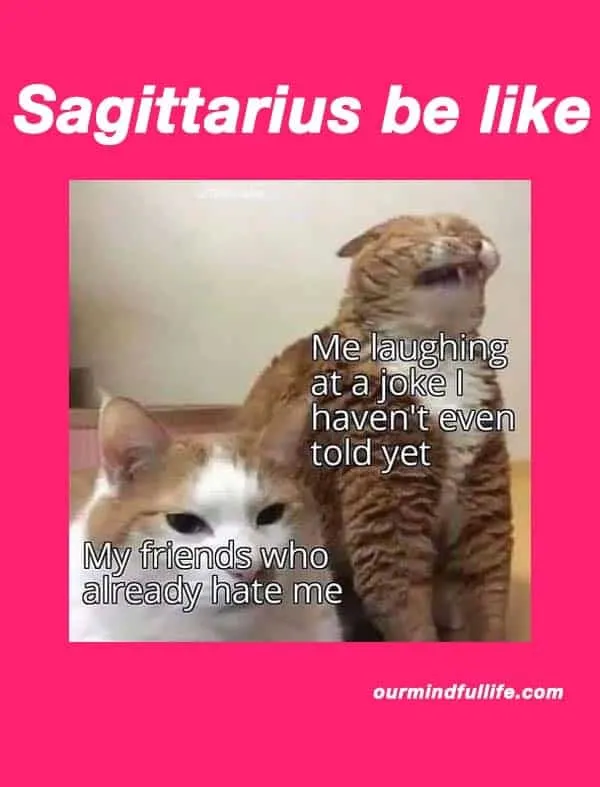 29 Funny And Relatable Sagittarius Memes That Are Basically Facts