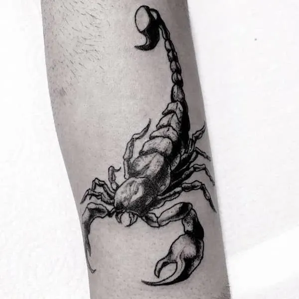 A realistic Scorpio arm tattoo from @makotattooxp - Stunning Scorpio tattoos for men