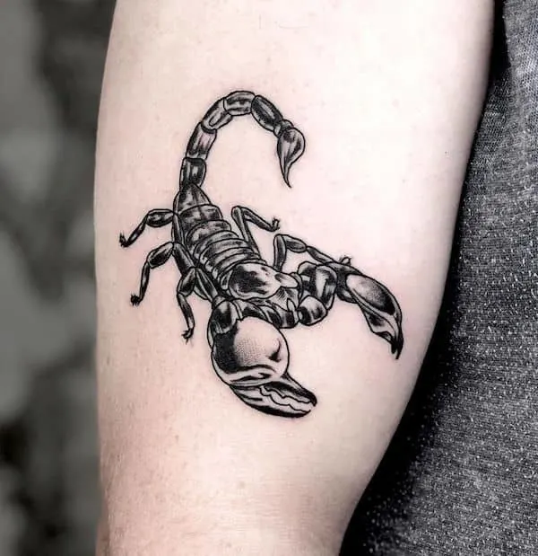 A bold blackwork scorpio tattoo from @thejp_tattoo- Stunning Scorpio tattoos for men