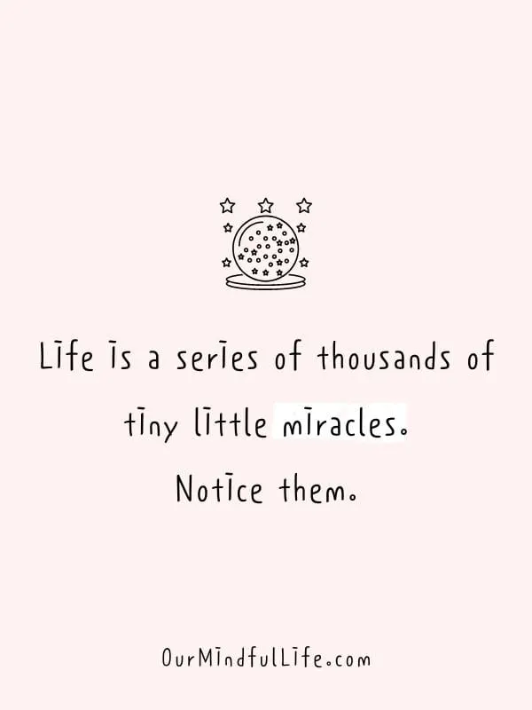 Life is a series of thousands of tiny little miracles. Notice them.- Inspiring Gratitude Quotes To Appreciate The Little Things