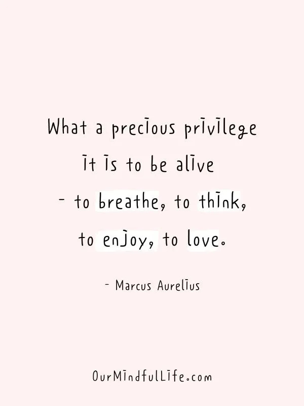 What a precious privilege it is to be alive - to breathe, to think, to enjoy, to love. - Marcus Aurelius - Inspiring Gratitude Quotes To Appreciate The Little Things