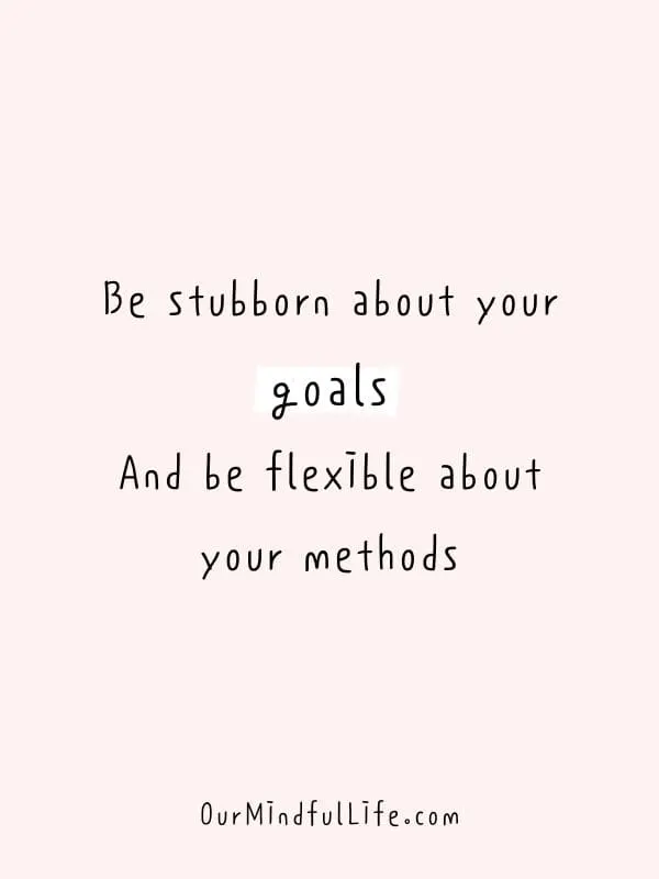 Be stubborn about your goals. And be flexible about your methods.