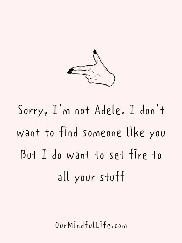 Sorry, I'm not Adele. I don't want to find someone like you. But I do want to set fire to all your stuff.