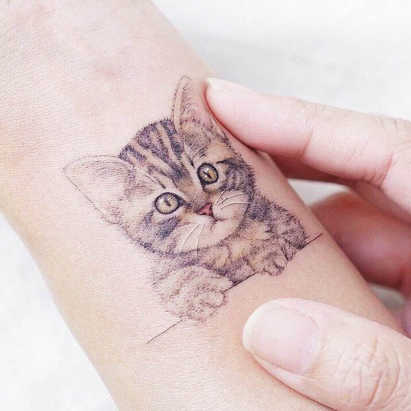 A realistic cute cat tattoo by @mini_tattooer- Stunning realistic cat tattoos