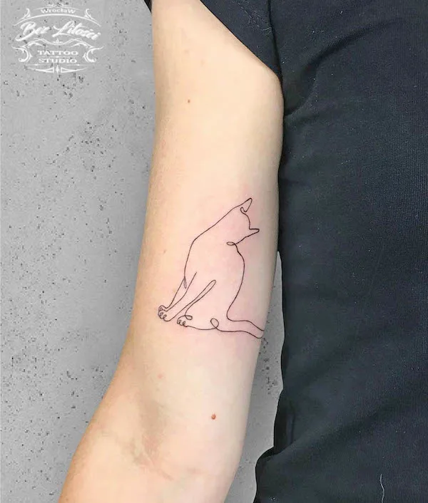A simple cat outline tattoo by @spokodziara