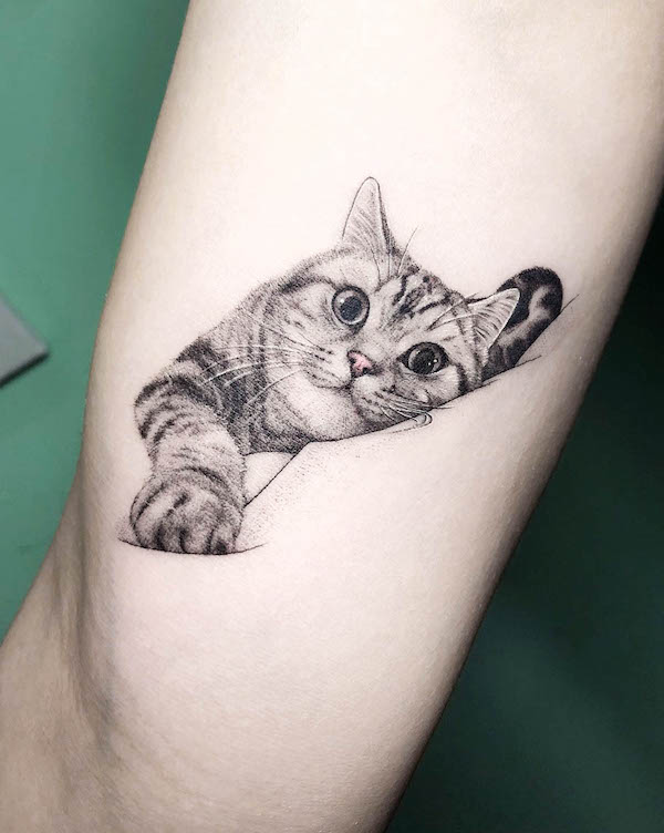 An adorable realistic cat tattoo by @ray_samuraitattoo- Stunning realistic cat tattoos