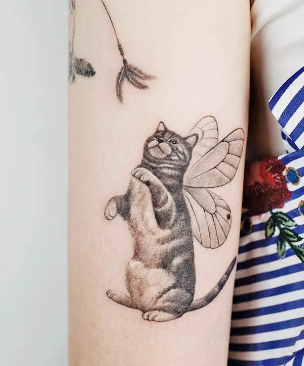 100 Cat Butterfly Tattoo Design For Women female png  jpg 2023