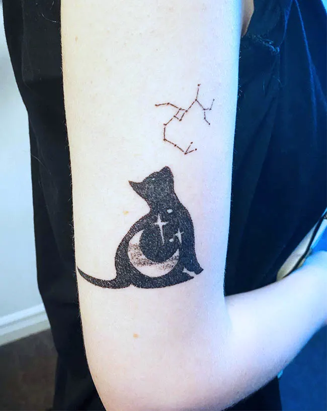 A cat tattoo with Sagittarius constellation by @ciqingmonutattoo