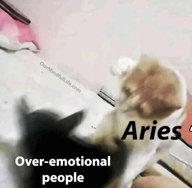 Aries and over emotional people _ funny Aries memes