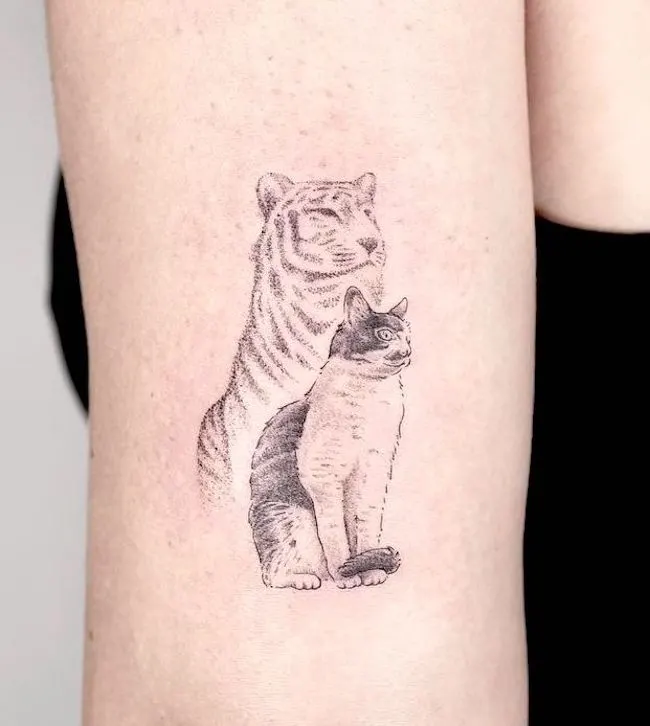 Cat or tiger creative cat tattoo by @pt78tattoo
