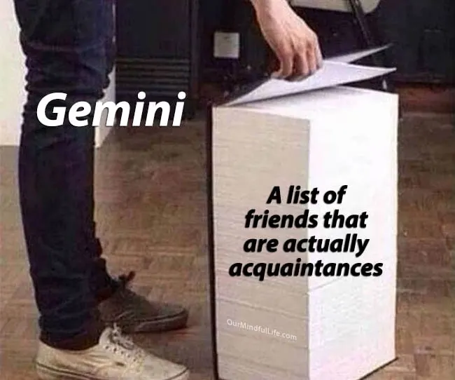 Gemini in making friends - Hilarious Gemini memes