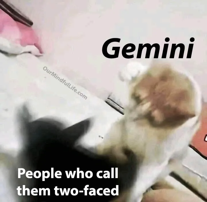 Gemini in fighting stereotypes - Hilarious Gemini memes