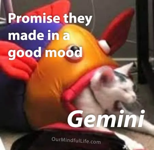 Struggle of Gemini