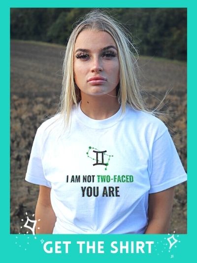 Gemini T shirt Gemini stereotype and quote shirt