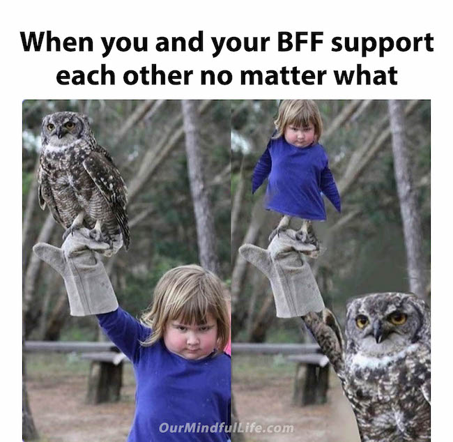 29 Funny Best Friend Memes To Honor Your Friendship - Our Mindful Life