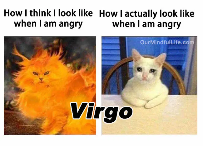 Virgo being angry - Hilarious Virgo sign memes