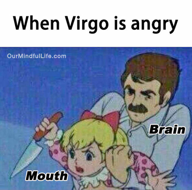 32 Funny And Relatable Virgo Memes That Are Basically Facts. 