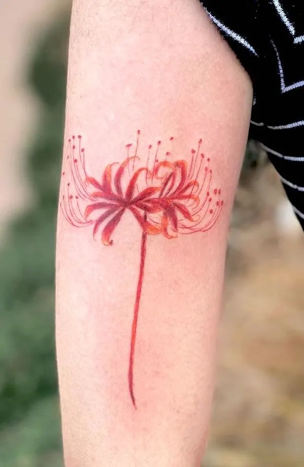 Red spider lily arm tattoo by @victoriaatattoos -Red spider lily flower tattoos with meaning