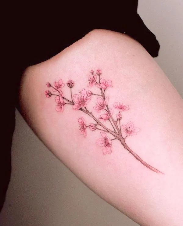 Sakura tree Japanese flower tattoo by @marcelabadolatto - Cherry blossom flower tattoos with meaning