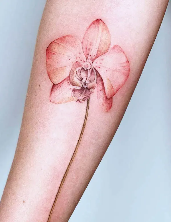 red orchid arm tattoo by @carinsilver_tattoo