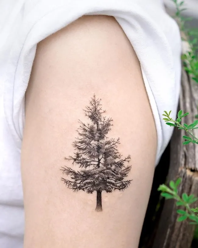 evergreen in Tattoos  Search in 13M Tattoos Now  Tattoodo
