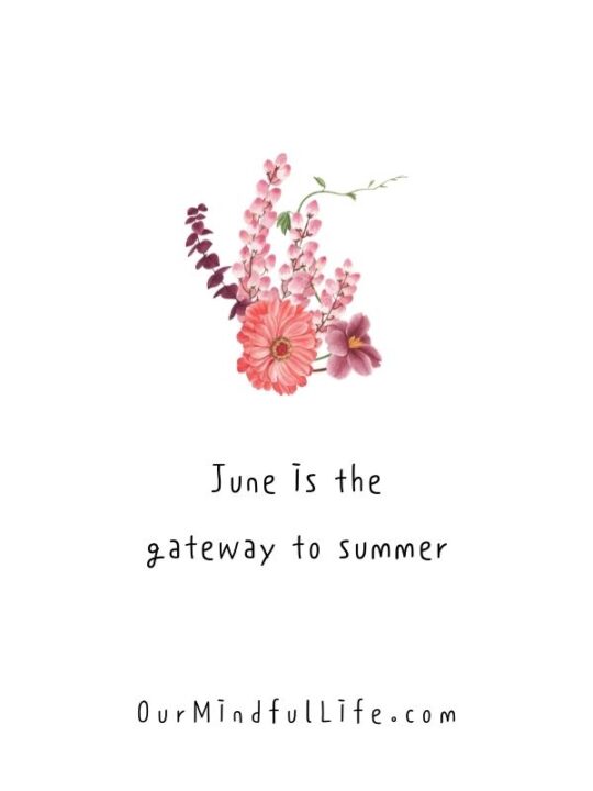 38 June Quotes To Bring Summer Fun and Good Vibes Our Mindful Life