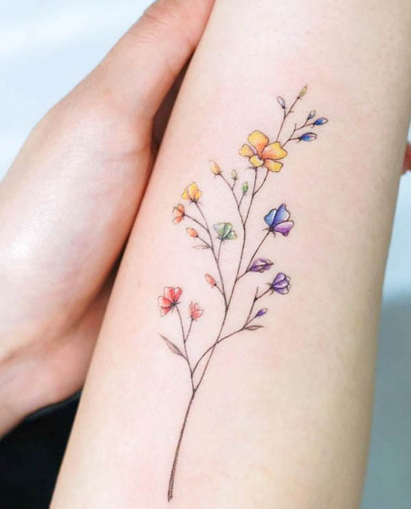 Wildflowers with rainbow petals by @jooyoung_flower