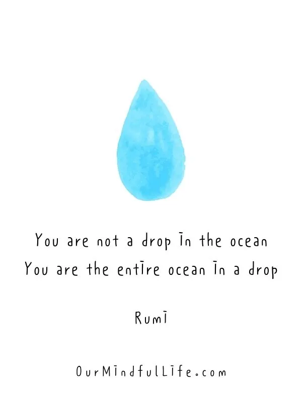 You are not a drop in the ocean. You are the entire ocean in a drop. 