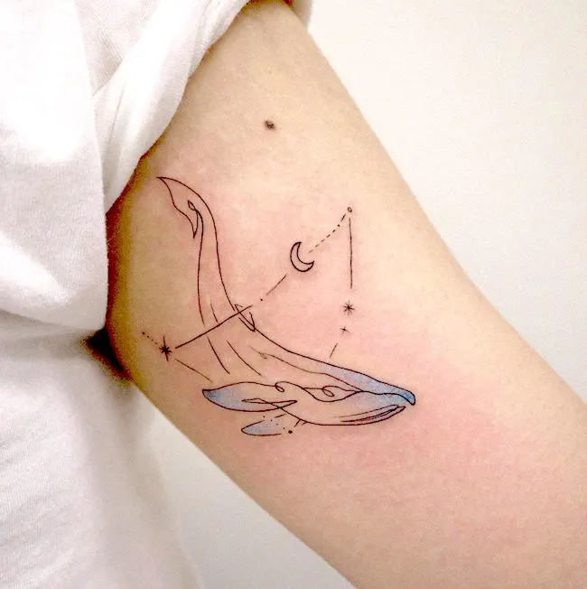 50 Tribal Whale Tattoo Designs 2023 Blue Humpback Traditional