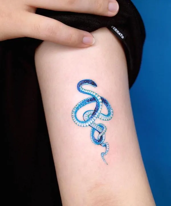 Snake tattoo HD wallpapers  Pxfuel