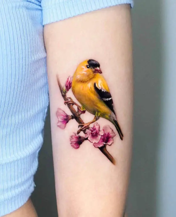 Beautiful and intricate bird tattoo by @harry_color