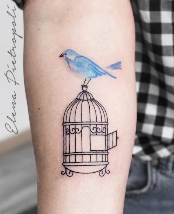 Bluebird breaking out of the cage by @elenapietropoli
