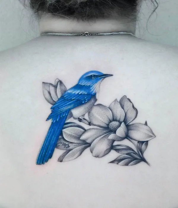 Bluebird back tattoo by @ms_aleen