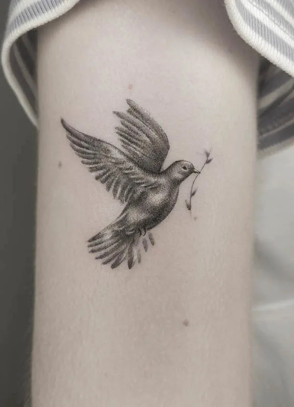 Realism dove tattoo by @_cath.art_.ic_