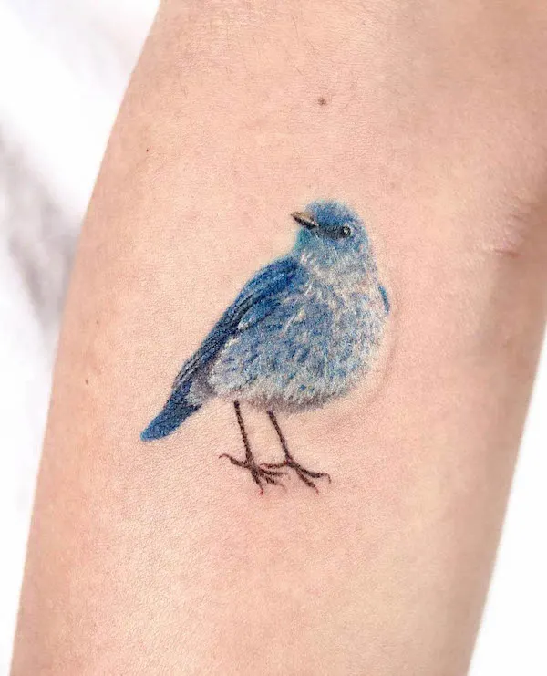 68 Beautiful Bird Tattoos With Meaning Our Mindful Life 68 Beautiful Bird Tattoos With Meaning Our Mindful Life