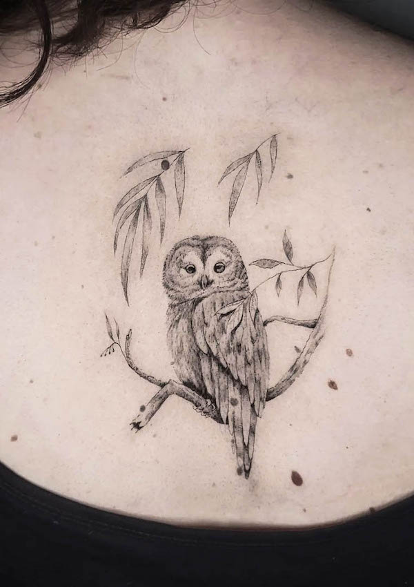 Fine line owl on the back by @nus.tattoo
