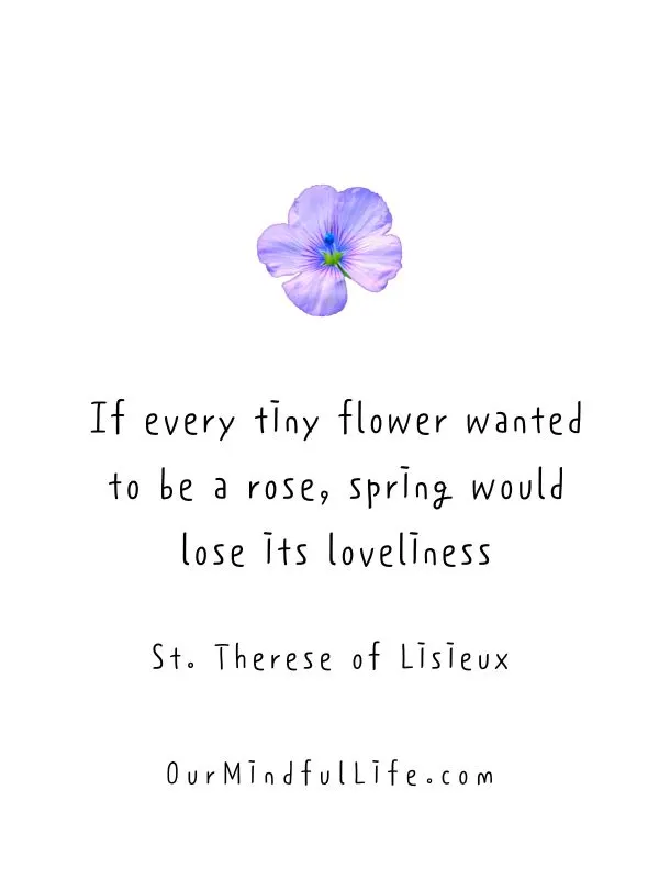 If every tiny flower wanted to be a rose, spring would lose its loveliness. 