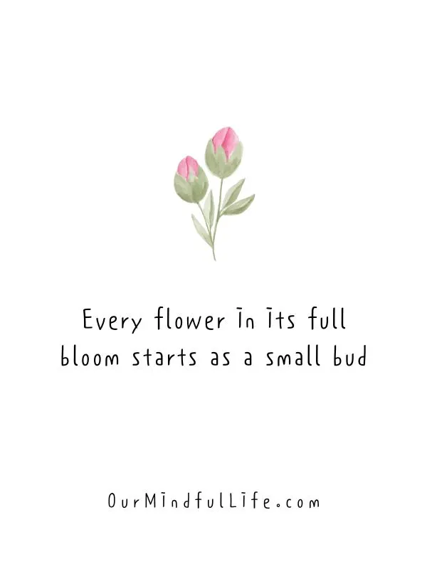Every flower in its full bloom starts as a small bud.