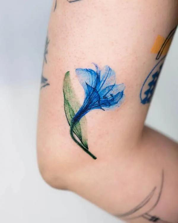Bella Barclay Tattoos  Pretty blue lily on the side of the knee for  Racheal today  more to come on this leg next month  tattoo  tattooist colourtattoo pretty flowertattoo lilytattoo legtattoo   Facebook