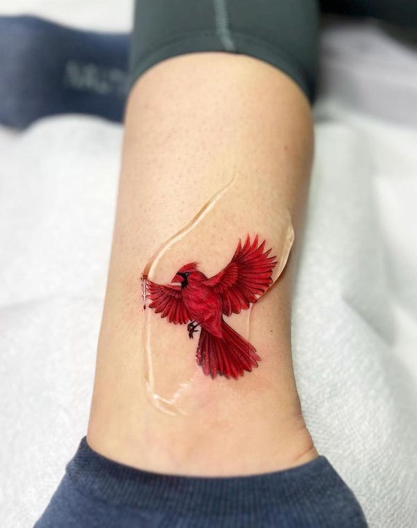 Cardinal bird ankle tattoo by @jingstattoo