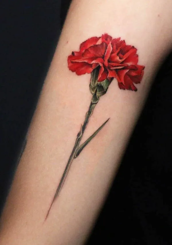 Carnation January birth flower tattoo by @danilo.vivanco.tattoo