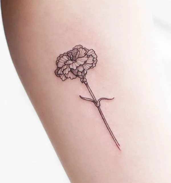Carnation January birth flower tattoo by @rachainsworth