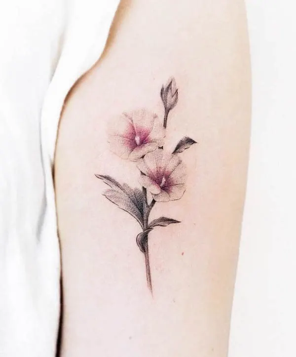 Morning glory September birth flower tattoo by @eontattoo